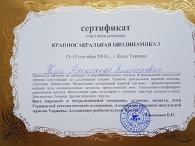 Сертифікат Жук Олександр Вікторович
